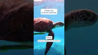 Chers voyageurs et si vous &eacute;chappiez &agrave; la routine pour une aventure inoubliable.