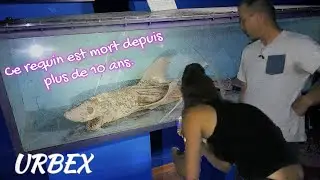 Ce requin a &eacute;t&eacute; abandonn&eacute; ici! (URBEX)