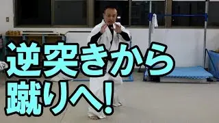 逆突きから蹴りへのコンビネーション～後ろ回し蹴り・上段前蹴り・膝蹴り