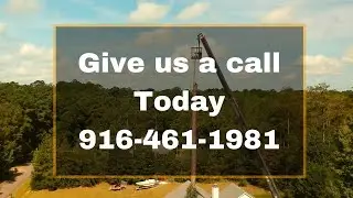 Expert Tree Services in Citrus Heights, CA - Citrus Heights Tree Service Experts