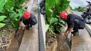 A kind-hearted person cleared the blocked roadside drainage