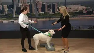 fitness w fido/wellfirst