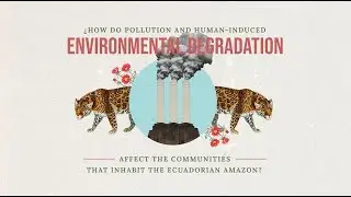 Environmental security in the Ecuadorian Amazon