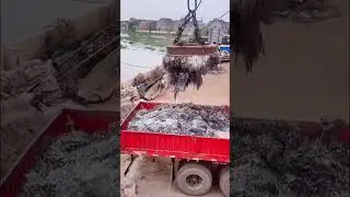 Loading metal scrap using a electro lifting magnet.#excavator