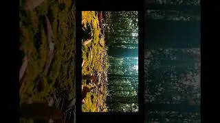Кинематография + цветокоррекция CapCut | Как создать кинематографическое видео о природе на мобил...