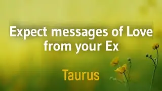 TAURUS MARCH 2021 - Expect messages of Love from your Ex