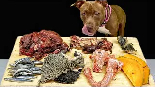 Best Dog ASMR Pitbull Eating Raw Foods