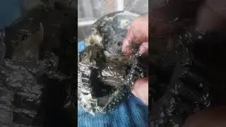 como desarmar o destapar una batidora o amasadora planetaria..
