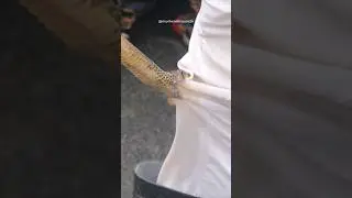 Cobra Snake Bite Death😭😭 Mother & Father Crying for Son 😭Heartbreaking 💔 #snakebite #rescue #snake