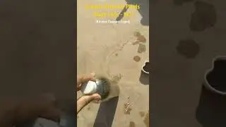Summer Drink for Plants 