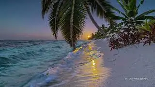 Calm 🌊 Punta Cana, Dominican Republic Beach Vibe Ocean Sounds Sleep Focus Study 4K 😴