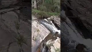 exploring nature in Australia #australia #vlog #nature #beauty #flowers #summer #walking #hike #asmr