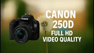 Canon 250D Cinematic // Rebel SL3 full HD video quality // Electronic Stabilisation