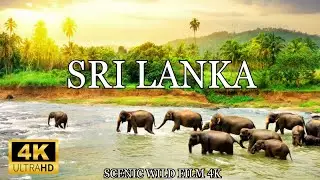 Sri Lanka 4K Breathtaking Natural Beauty | Relaxing Scenic Tour of Tropical Paradise