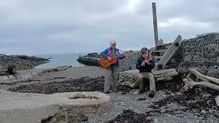 Gadael Enlli