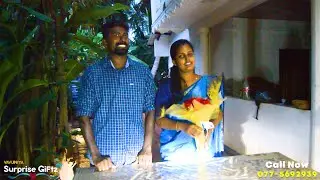 Anniversary Surprised Gift Delivery | Vavuniya Surprise Giftz | Cake  | FlowerBouquet | Saree | VSG