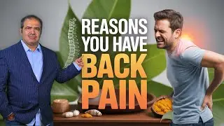 The Shocking Truth About Your Back Pain 😱 | Hidden Causes Revealed | SpineTreatment