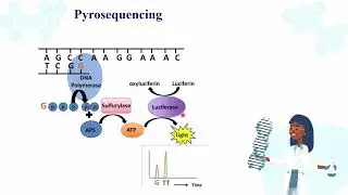 NGS: Next Generation Sequencing_part2