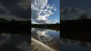 #nature #природа #siberian #summer #природасевера #лес #forest #beautiful #river #река