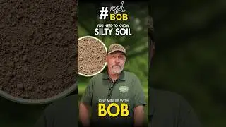 Why Silty Soil Rocks | Uncover Its Garden Benefits! #gardening #soil #youtubeshorts #askbob