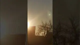 Солнечные засветы и блики #videoloop