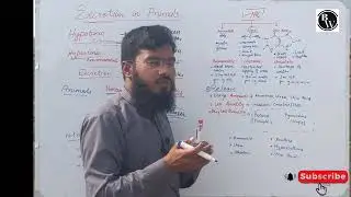 Chap 15 Lec 8 Excretion in Animals | Types of Animals in relation to habitat   12 Class Biology