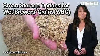Turning Brewery Waste into Dairy Cattle Gold : Smart Storage Options for Wet Brewers&rsquo; Grains(WBG)