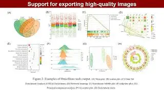 OmicShare tools: A zero-code interactive platform for biological data analysis and visualization