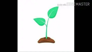 Microirrigation Part2 / Land Gradient and Suitability of Irrigation System