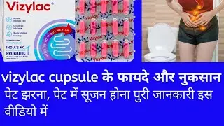 Vizylac Capsule: Restore Gut Health & Improve Digestion Naturally!