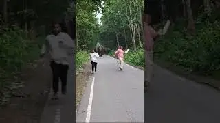 dudhwa National park palia Kalan Lakhimpur khiri in India selfie lene#youtube#travel #tiger#viral