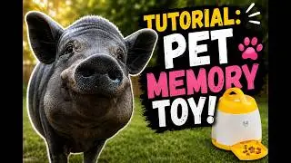 Arf Pets Memory Training Puzzle Toy Tutorial (for pigs and dogs)