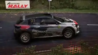 Replay défi sur Asseto Corsa Rally avec la 208 