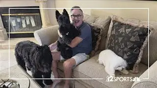 Most popular dog names of the year