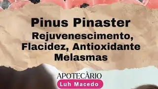 Pinus Pinaster: A Planta da Juventude &ndash; Benef&iacute;cios Incr&iacute;veis para Pele, Sa&uacute;de e Beleza