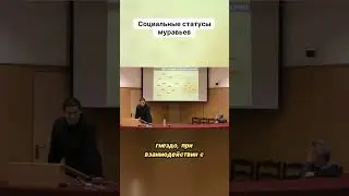 Социальные статусы муравьев  #муравей #наука #подкаст #муравьи #shorts