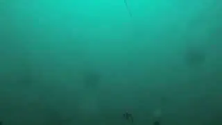 Halibut Fishing with a GoPro in Kachemak Bay, AK