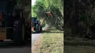 Satisfying Video, Tree Cutting and Trimming Machine