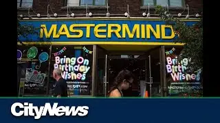 Business Report: Some Mastermind Toys stores may survive