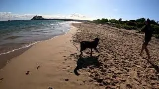 Dog friendly Beach at Newcastle Australia By aussiebede