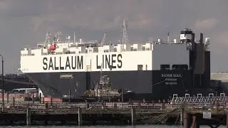SILVER SOUL RO-RO VEHICLES CARRIER NEXT PORT CALL ANTWERP 02/09/23