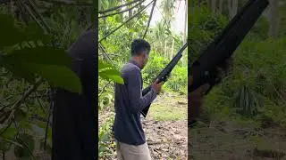 Berburu burung punai dan tekukur merah#shorts
