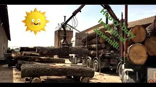 HEAVY-DUTY INDUSTRIAL Sawmill Cutting Slavonian Oak!!! * From Log Procurement To Oak Board *