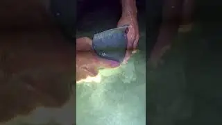 Практическая рыбалка