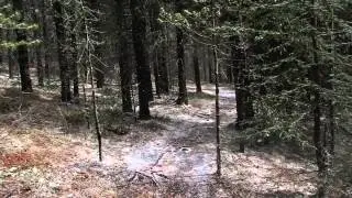 Kananaskis Prairie View Day Hike May 2015