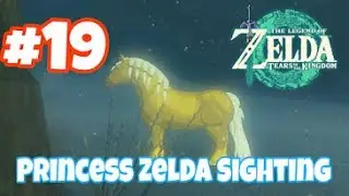 The Legend Of Zelda Tears of the Kingdom Part 19  -  Princess Zelda Sighting