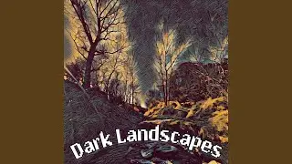 Dark Landscapes