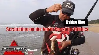 Scratching on the North Coast KZN South Africa  | ASFN Fishing