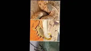 Most Dangerous😱 Places in the World | Amazing Facts About Risky Destinations#viral