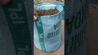 How to make grow bag #viral #gardening #garden #growplants #trending #plants #nature #growbag #green